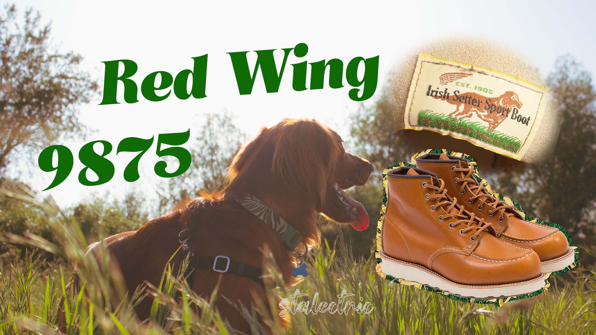Why the Red Wing 9875 Irish Setter is a Must-Have for Boot